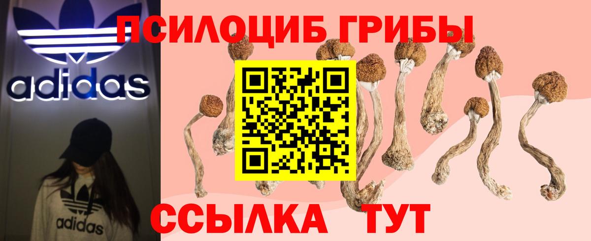 Минеральные Воды  Галлюциногенные грибы GOLDEN TEACHER  Вход с VPN 