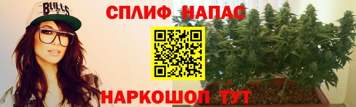 МАРИХУАНА марихуана Минеральные Воды