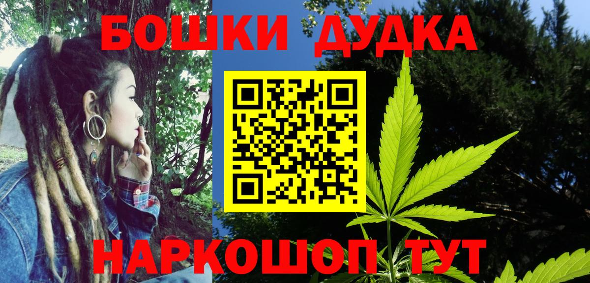 Бошки Шишки план  Конопля гибрид  Вход с VPN  Канабис сатива  Минеральные Воды 